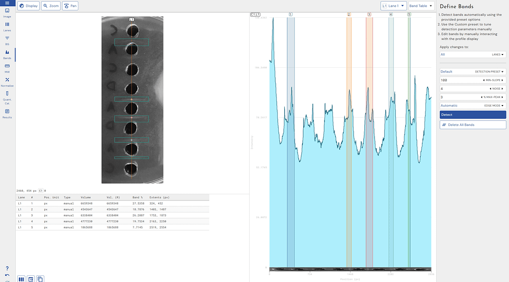 Phoretix 1D 1D precipitin assay analysis