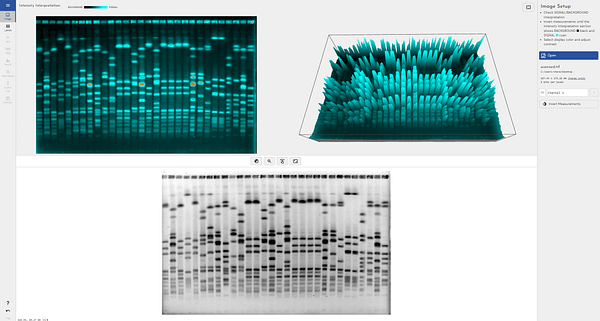 Phoretix 1d Western Blot Analysis Software