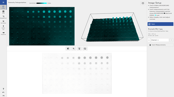 dot blot analysis